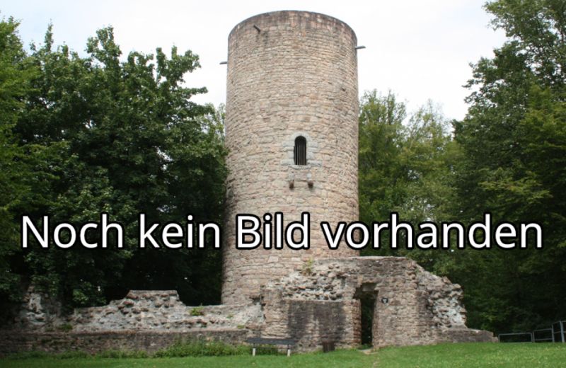 Burg Berwartstein, Erlenbach bei Dahn